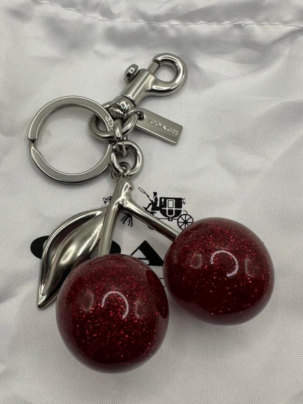 Coach Women's Red and Burgundy Accessory